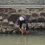 pexels-zhicheng-zhang-312594413-29900813