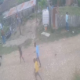 Hombre mata a palos a un perro herido en Monte Plata