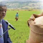 leonel y el arroz