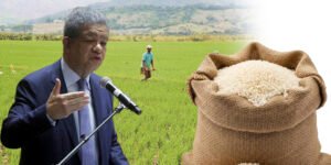 Leonel Fernández aboga por productores de arroz dominicano en visita a México